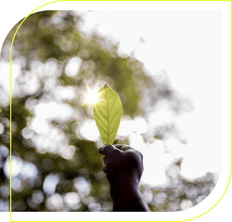 Acceso y Estructuración de Activos Climáticos (1)