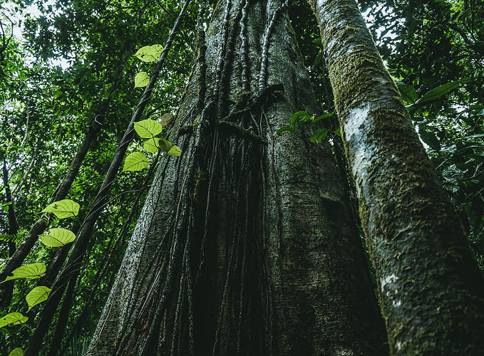 quieres ser parte del cambio